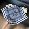 New old money wind chain neck scarf women's commuting versatile soft silk scarf neck protection shawl outer scarf