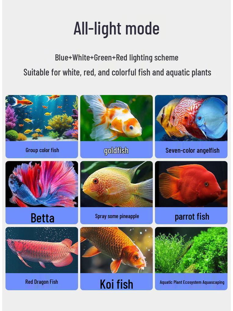 Super Bright Clip-on Full Spectrum LED Aquarium Light, Waterproof and Splashproof, Ideal for Mini Aquariums.