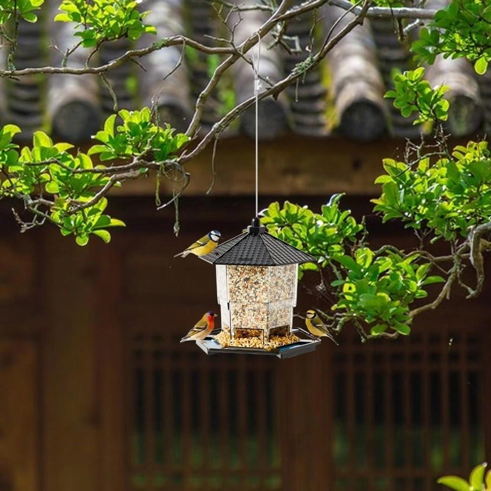 Transparent Hanging Bird Feeder Squirrel Proof Bird Food Container Bird Feeding Station  Backyard