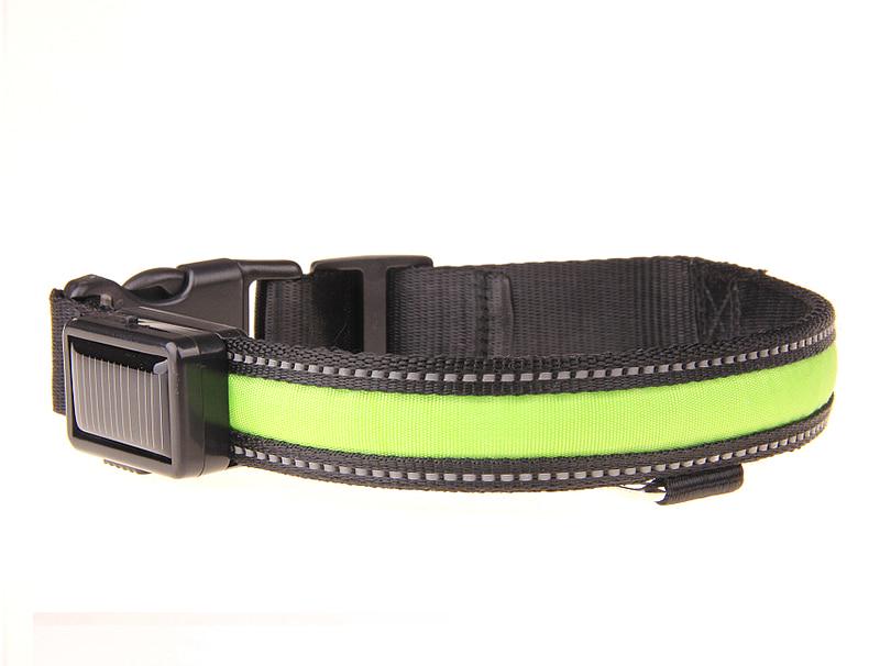 solar dog collar