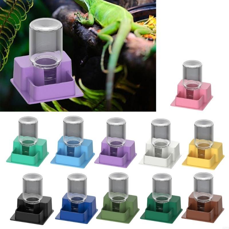 Automatic Water Dispenser Safe Drinking Solution For Small Pets Like Salamanders