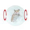 Hamster Running Ball Pet Rodent Mice Running Jogging Ball Hamster Exercise Toys Small Animal Products