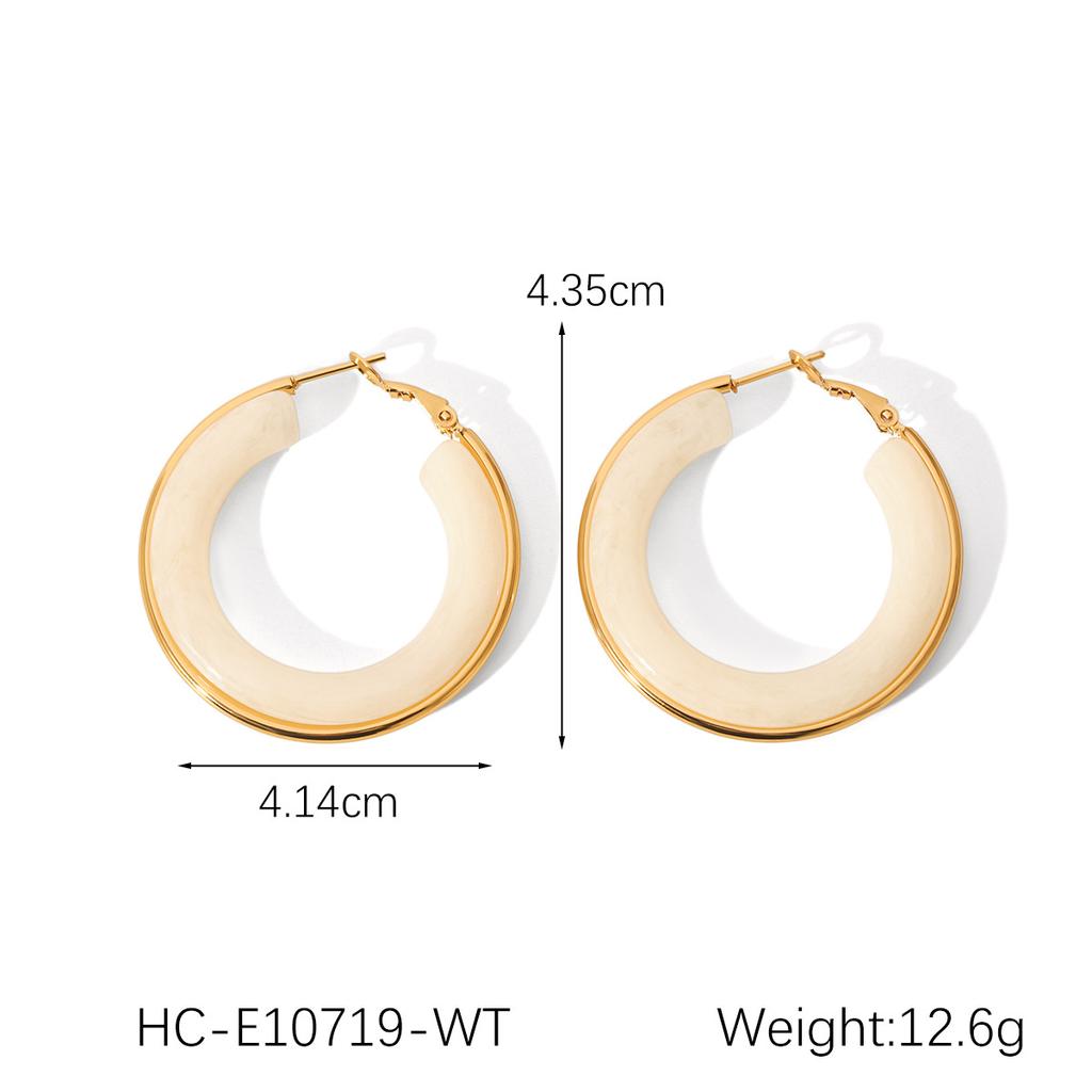French Vintage Style Stainless Steel Hoop Earrings, Resin Earrings for Women, Elegant High-end Ear Jewelry, Niche Design