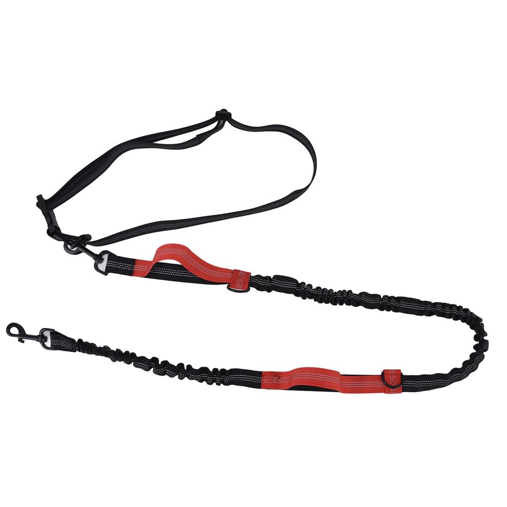 Haustierleine Reflektierend Einziehbar Tragbar Verstellbar Hunde Traktionsseil für Haustiere Hunde Rot
