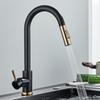 Gold & Black Brushed 304 Stainless Steel Pull-Out Kitchen Faucet for Sink & Vegetable Basin