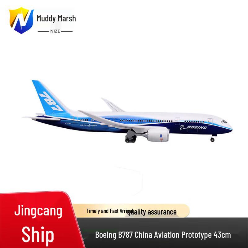 Nize Boeing B787 China Airlines Prototype Aircraft Model