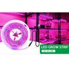 LED Pflanzenlampe Vollspektrum 5V USB Pflanzenlichtleiste LED Phyto Lampen für Pflanzen Gewächshaus Hydroponische Wachstumslampe 1M 2M 3M