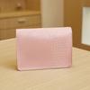 Lady's Envelope Clutch with Chain Strap