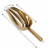 Gold Food Scoop Multi-Purpose Grain Flour Shovel Practical Ice Scoop  Kitchen