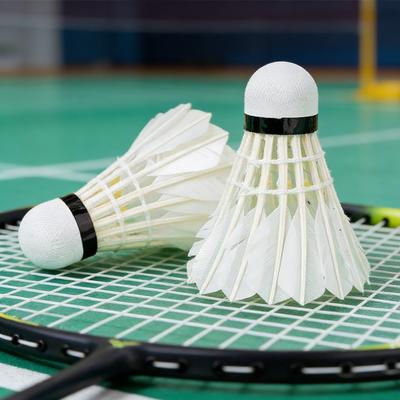 Badminton – Lotki
