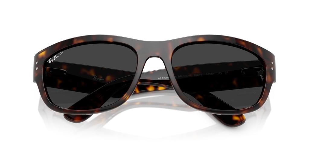 Sunglasses 0RB2289 60 [Ray-Ban] 902/48