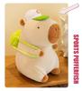 Spring Limited Edition Capybara Plush Doll - Perfect Valentine's or Birthday Gift