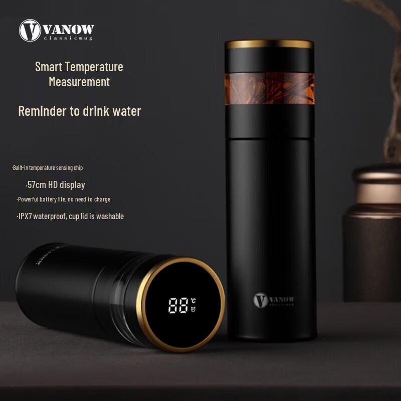Vanow 480ml Smart Insulated Tea Infuser Bottle with 999 Silver Liner