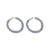 Silver Needle Personality Temperament Earrings European and American Trend Sense Exaggerated Earrings Design Earrings New Fashion Muse Fan Earrings