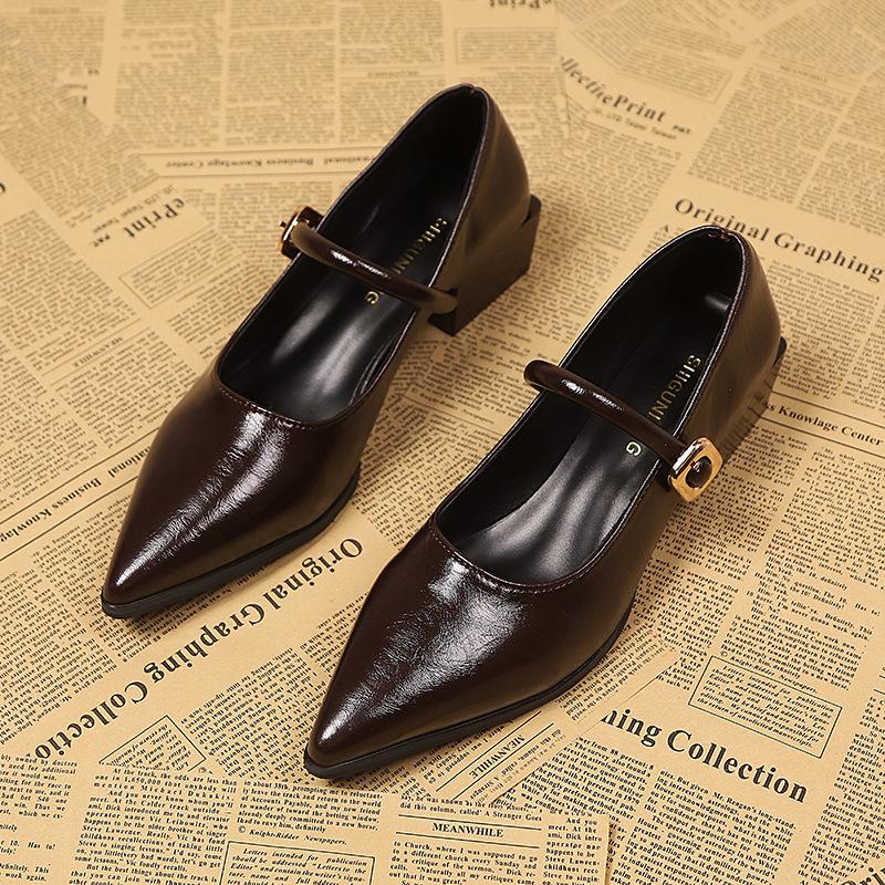 Thick Heel Design Sense Niche Shallow Mouth Single Shoes Women's Spring and Autumn New Pointed High Heel Mary Jane Small Leather Shoes