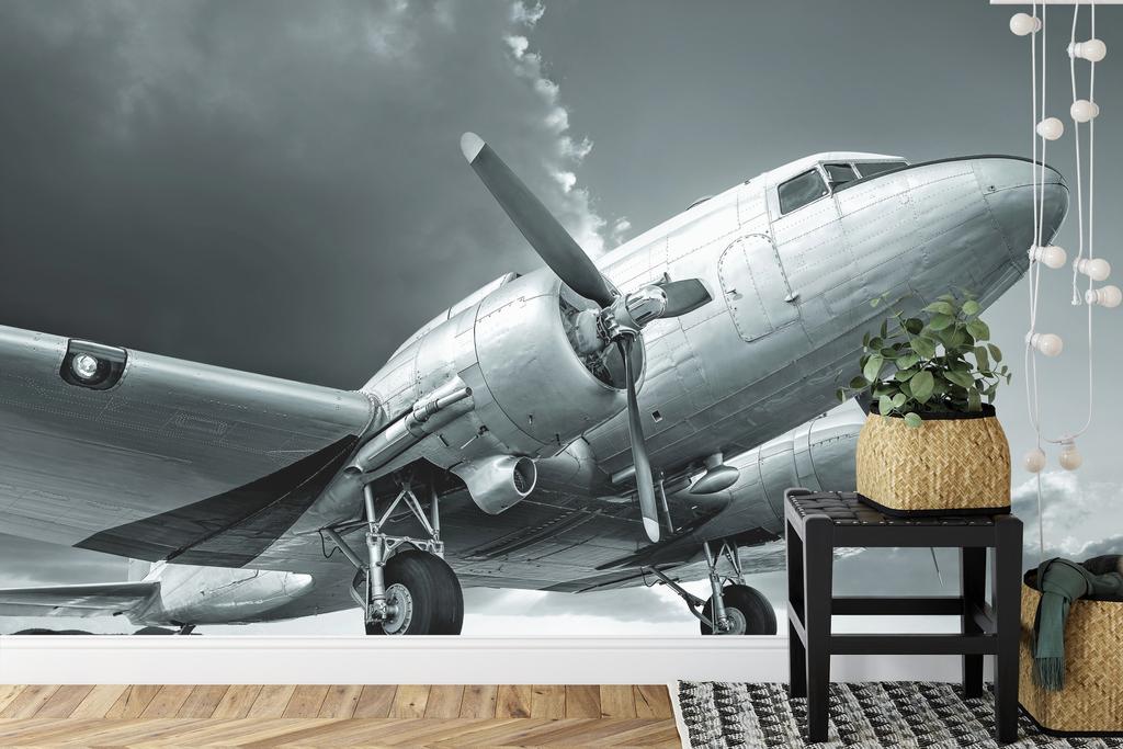 Photomural Propeller Airplane Self-Adhesive Mural 90x60