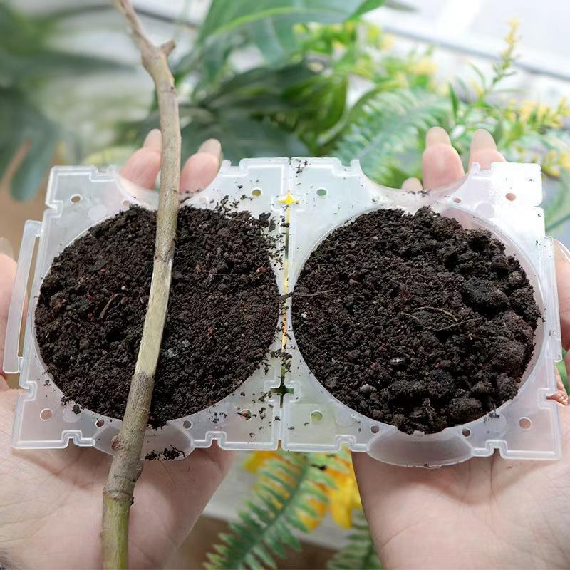 5-100Pcs Plant Rooting Ball High Pressure Propagation Rooting Ball Grafting Breeding Grow Seedling Box Planting Nursery Pot