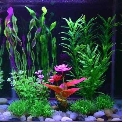 Realistic Simulation Aquatic Plant Natural Look Green Water Grass  Aquarium Landscape