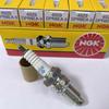 1PCS  Spark Plug DPR8EA-9/4929/D8TC DR8EA D8EA A8YC 2179 D8RTC Tibetan Mastiff Horizon Spark Plug Nozzle