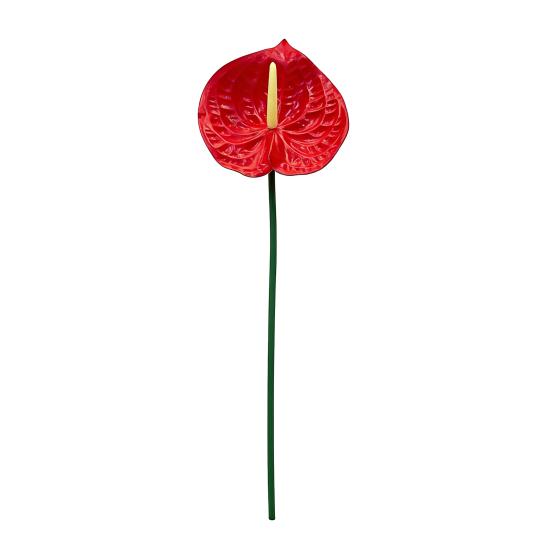 26 Real Touch Anthuriums Plant Artificial Tropical Flower with Long красный