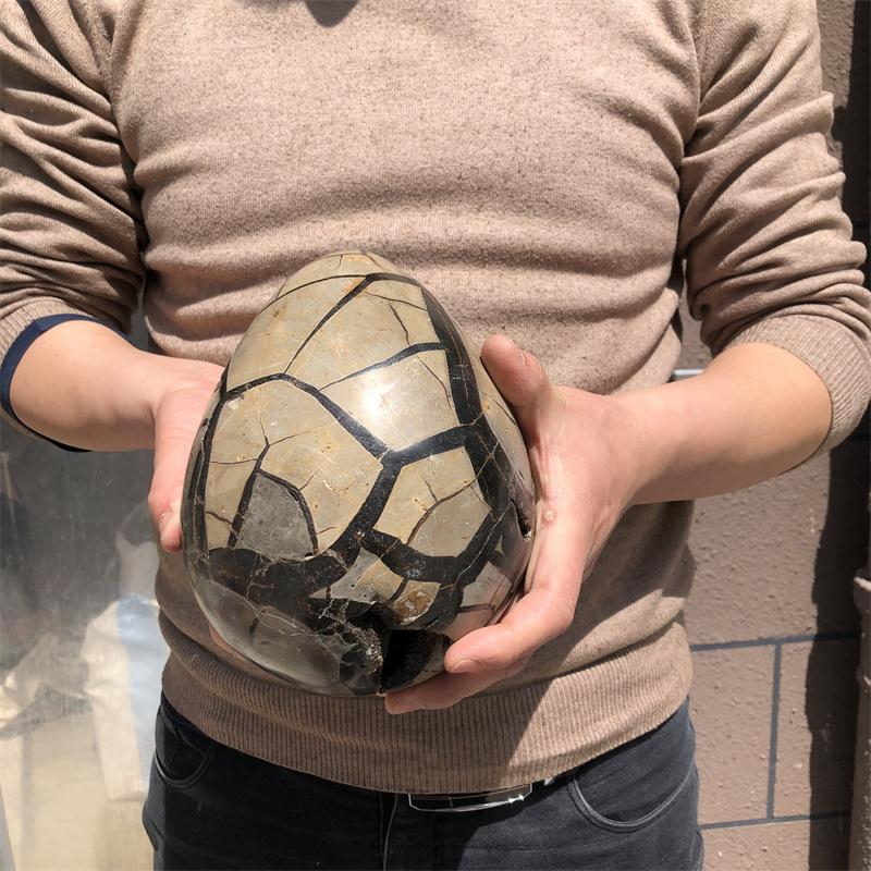 4.3kg Natural curvature of the furnishing articles Turtle grain stone egg Ball Septarian nodule Crystal Healing quartz