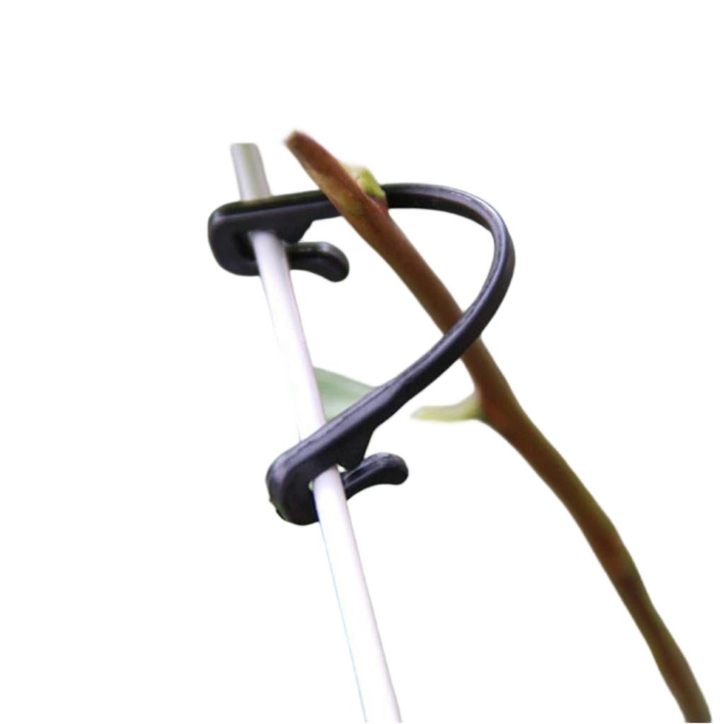 Plant Binding Buckles for Tomatoes and Grapes, Garden  Support Clips, Vegetable Fixing Hooks for Stable Growth and Training