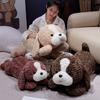 Furry Border Collie Plush Toy Cute Soft High Quality Cartoon Stuffed Animal Doll Home Decor Gifts For Kids