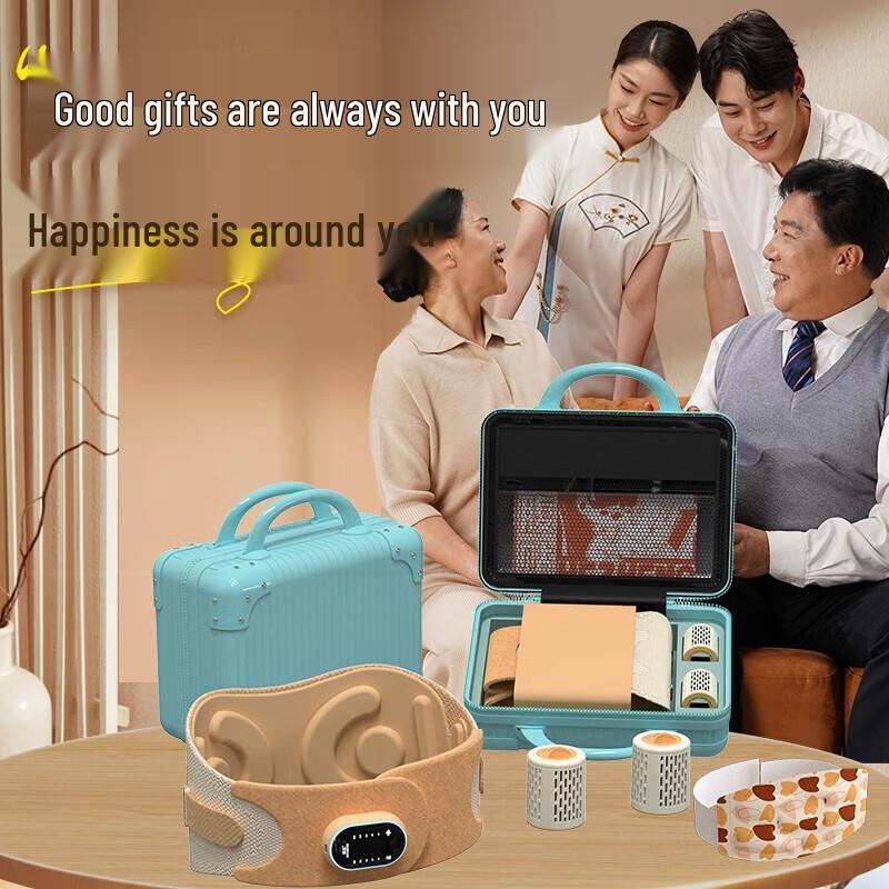 

HEZHENG HZ-Family-2 Wireless Waist & Abdomen EMS Massager and Smokeless Moxibustion Family Set