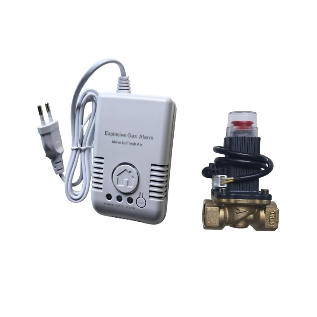 EU/US Plug Gas Leak Alarm Detector with DN15 Copper Valve | Natural Gas LPG Methane Sensor with Auto Shut Off