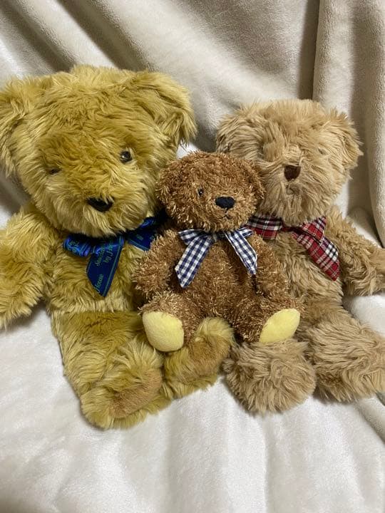 [USED] Teddy Bear Brown