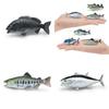 Marine Animal Static Model Toy With Realistic Fish Design For Collectors And Decor