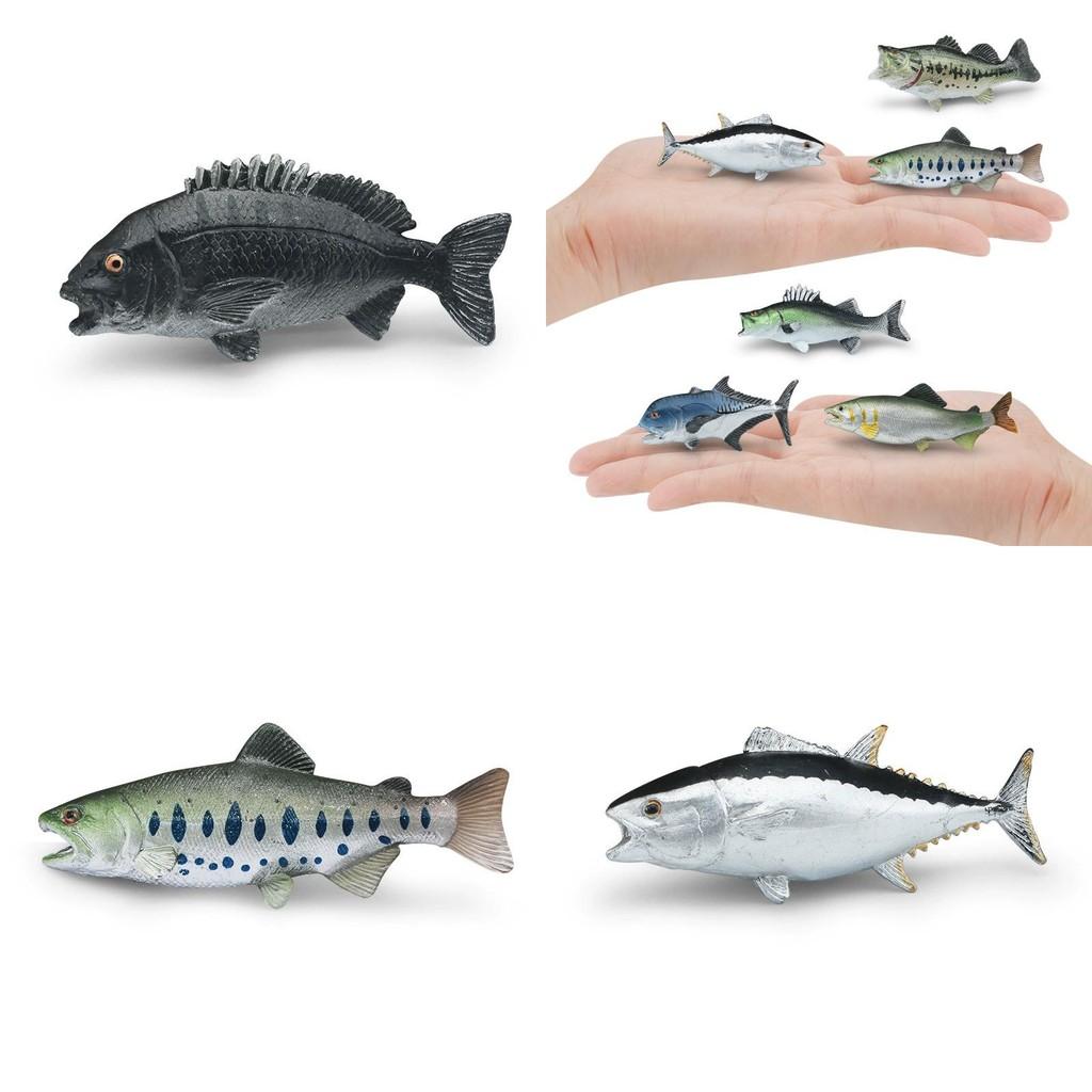 Marine Animal Static Model Toy With Realistic Fish Design For Collectors And Decor
