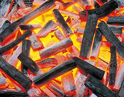 Captain Stag UG-3295 Barbecue Fire Starter for Fire Extinguisher, Product Size: Approx. 160mm Outer Diameter x 200mm Height (Main Unit Only), Silver