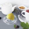 Citrus Juicer Lemons Oranges Tangerines Limes Glass Juicer