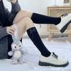 Xianuo 2024 Women's Lolita Bow Long Calf Socks