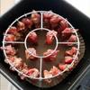 Verticale Verwijderbare Grillrek van Roestvrij Staal, Spieshouder, Airfryer Accessoire Met 12/24 Bakprikkers Voor Airfryers