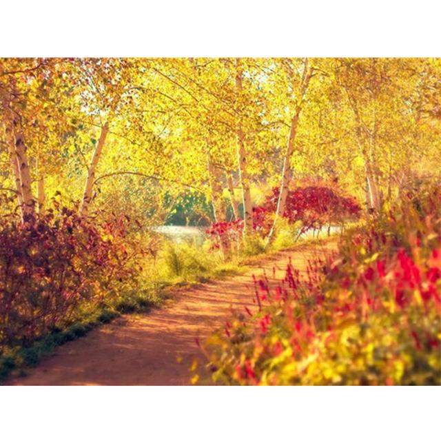 5D sady pro malování s diamanty Obraz krajiny Umělecký obraz Úplné diamantové vyšívání Mozaika drahokamu Dárkový křížový steh Domácí dekorace