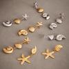 Qiong Yao Gold-Plated Seashell Star Earrings - Exaggerated Heavy Stainless Steel Ear Ornaments