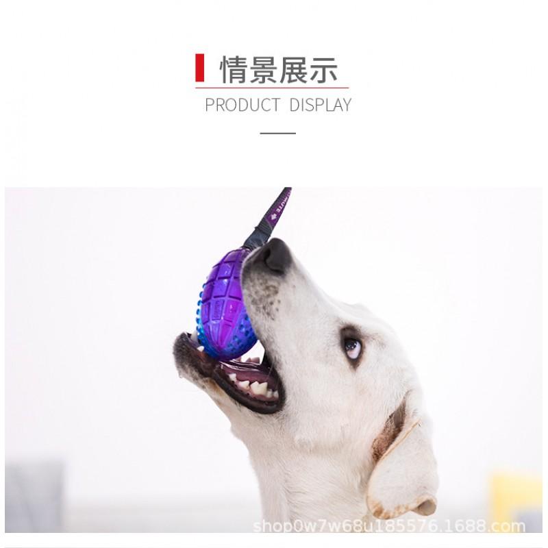TPR Dog Toy Squeaky Stretchy Waist Twister Interactive Chew Small Medium Dogs Transparent Design