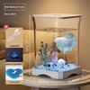 Creative Betta Fish Ecological Desktop Tank with Night Light Decoration.