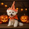 Sombrero de Mago de Halloween para Mascotas Pequeñas - Elegante Accesorio de Lana para Perros y Gatos