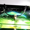 Floating Fish Feeder Ring Buoyant Durable Aquarium Feeder Aquarium Accessory Anti-scattering Fish Food Dispenser