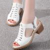 New Summer Women 'S Sandals Square Heel Zipper Gladiator Shoes Open Toe High Heels Women Hollow Breathable Casual Sandals