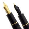 Sailor Professional Gear Slim Gold Fountain Pen Black Fine Nib 11-1221-220 with Converter