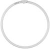 Slim Fluorescent Lamp FHC34ECWH 34W Pale Cool Color GZ10q Slim Premium