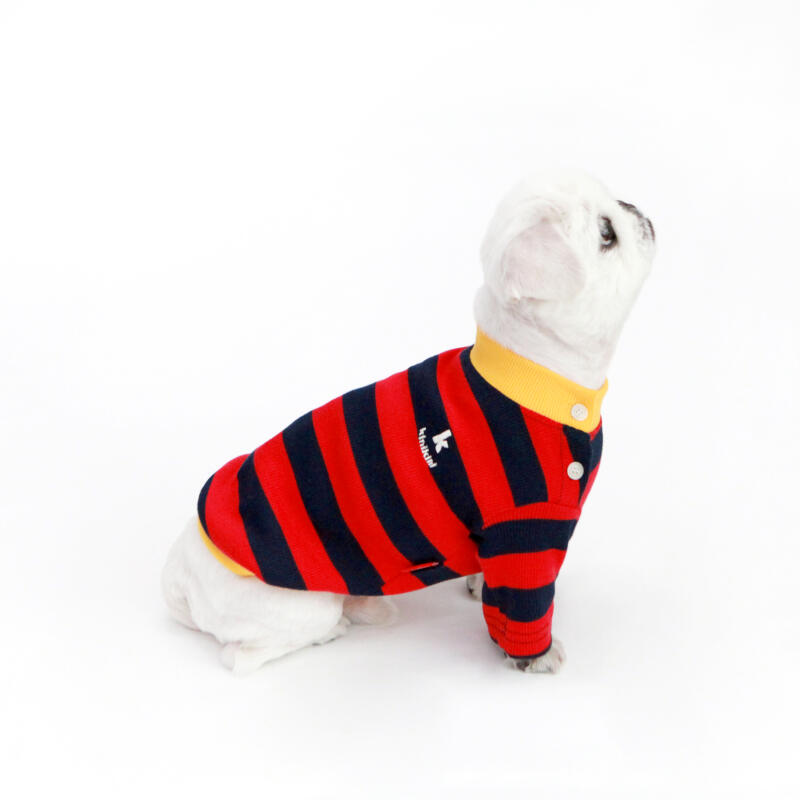 STRIPE NECK BUTTON TSHIRT-RED(Short Sleeve T-Shirt) M