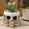 Creepy Skull Planter Succulent Vase Realistic Looking Multi-Face Design Horror Skeleton Planter