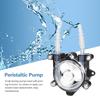 Pompa Peristaltica ad Alto Flusso Pompa Dosatrice Miniatura Pompa Peristaltica a Tubo per Laboratorio Acquario Analisi Chimica Pompa Dosatrice Liquida
