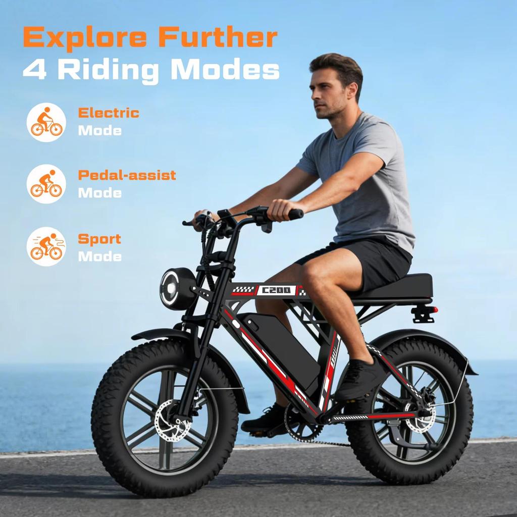 HiQiS Electric Bicycle C200 48V 17.5AH Battery Maximum Range 90KM 1000W Motor 25km/h Speed 20 Inch Fat Tire All Terrain Electric Bicycle