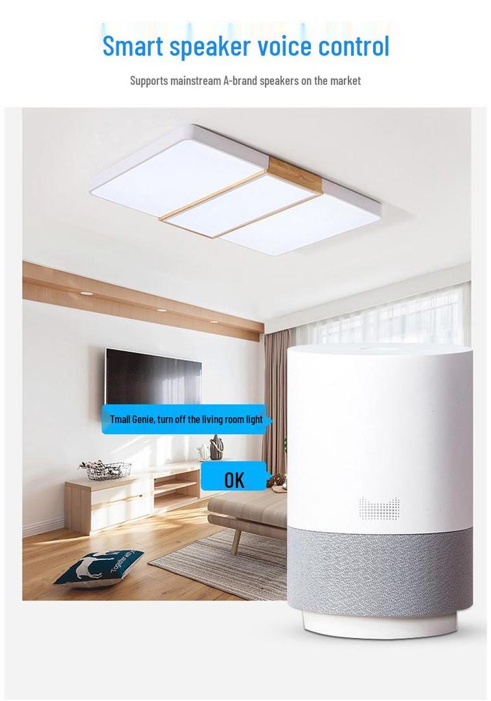 Interruttore Smart WIFI Standard UE, Compatibile con Alexa, per Decorazione Domestica - Filo di Fase Singolo, Controllo Touch.